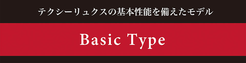 Basic Type
