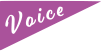 voice