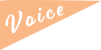 voice