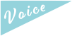 voice