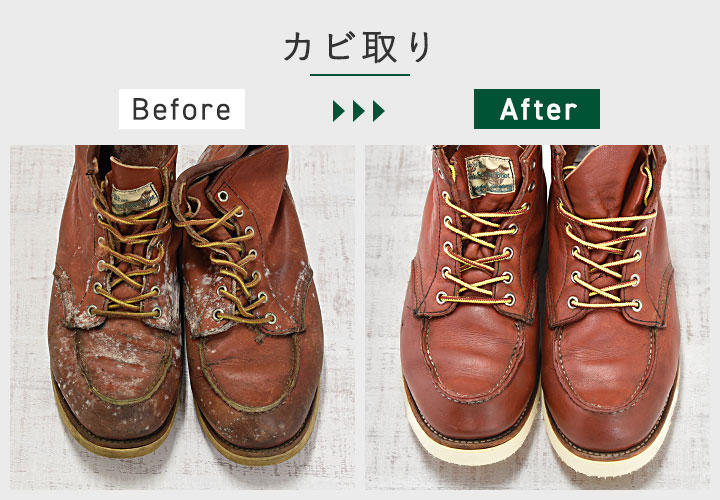 カビ取り カビ取り